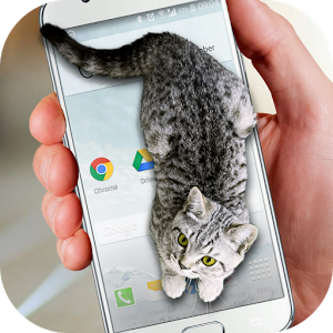 maximusle12's tweet photo. For all of you https://t.co/ArWDIBs7sX Get it free...
#DayAfterChristmas #BoxingDay #Kwanzaa #TuesdayThoughts #TheGrinchWasSentencedTo #catexpo4 #cates #kittycat #kittyloafmonday #catewalk #android #Apps #CateBlanchett #love #animal @CatBot13 https://t.co/I02mugTP8D