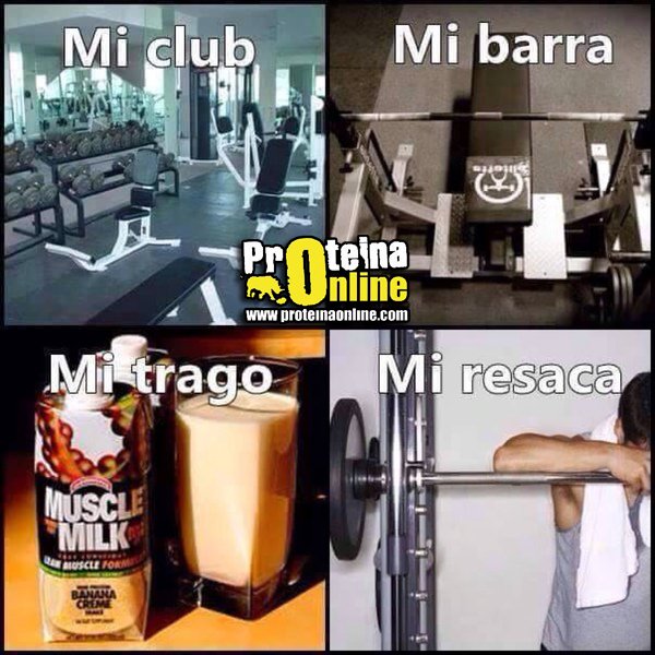 Esta Navidad, recordadlo....

ProteinaOnline.com