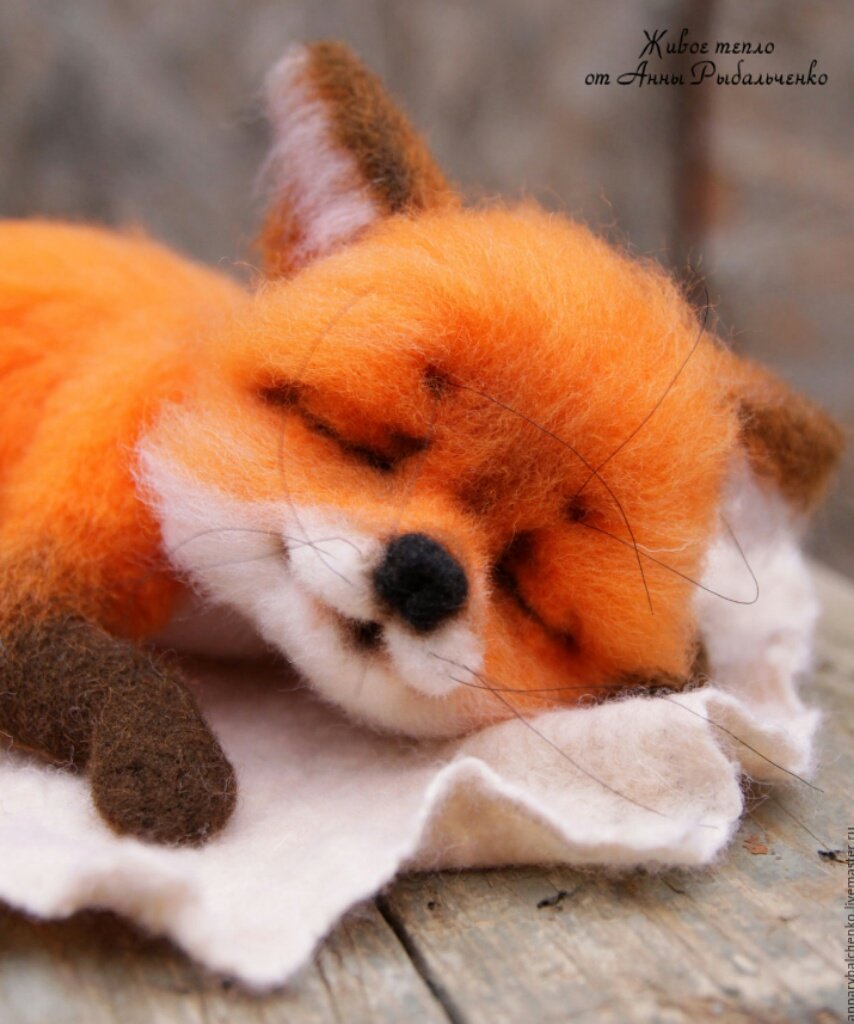 Animalslover14's tweet photo. Good night 🌃 😴 😴 https://t.co/tXqvTlCjKO