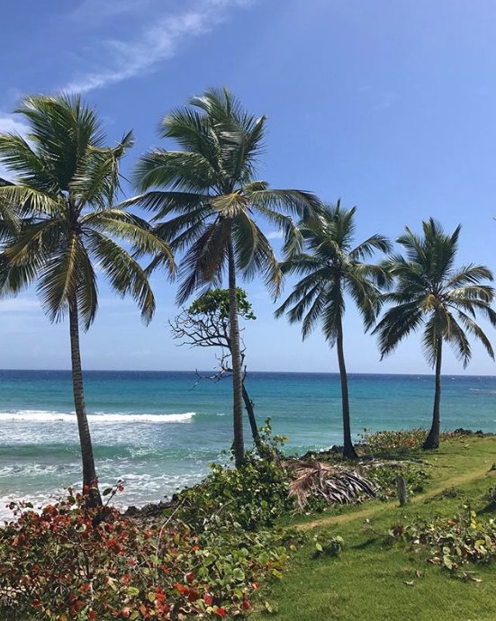 NATURACABANA's tweet photo. With two more days left, we're here with another reason on why you should visit us. 2️⃣: we have amazing views of the never ending ocean and palm trees 📷:piruneira #Friday #FridayFeeling #Friyay https://t.co/RsIDdyPkJo