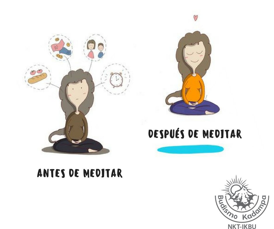 Meditar en Hidalgo (@meditaenhidalgo) on Twitter photo 