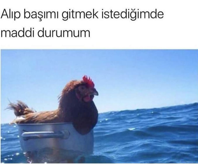 didemplbss's tweet photo. Tam anlamıyla bu https://t.co/bxGtLuKmwm