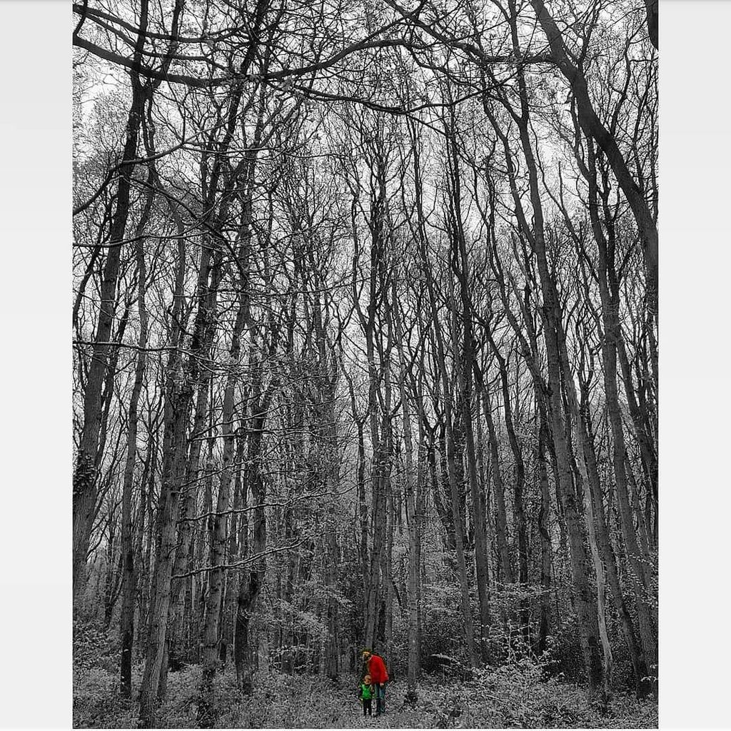 boltseatingbuds's tweet photo. Boxing Day wanders with the fam bam ❤
.
.
.
#fam #bam #christmas #photography #photooftheday #canon #canonphotos #monochrome #blackandwhite #monochromephotography  #colour #colourpop #family #nature https://t.co/39SrqX8Vko https://t.co/Ma3b4btKXu