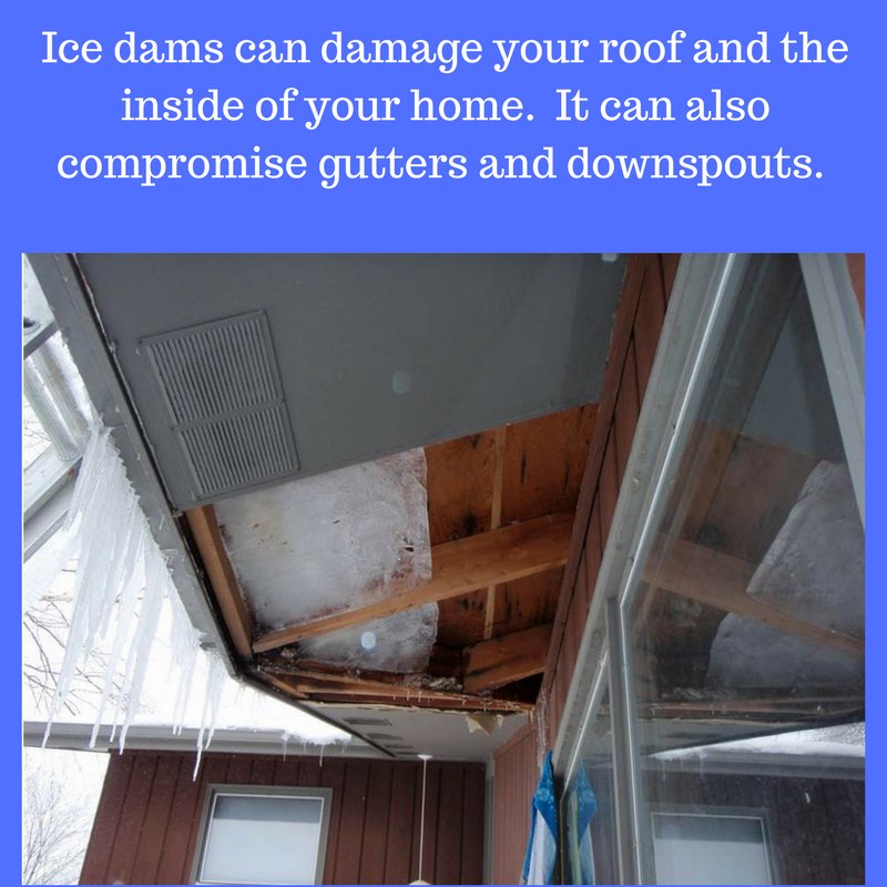 ISDBoston's tweet image. DID YOU KNOW?