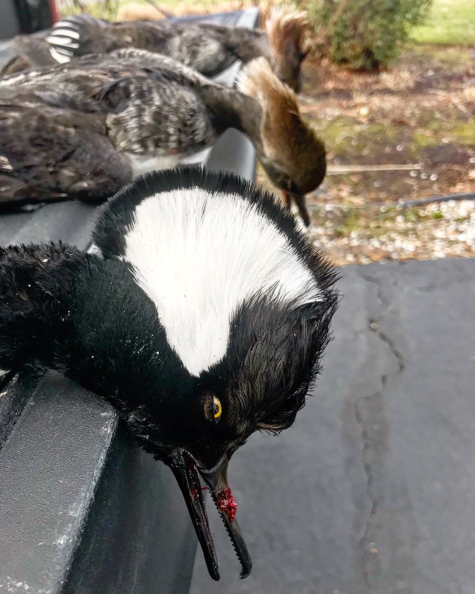 Submission Outdoors (@submsnoutdrs) on Twitter photo 