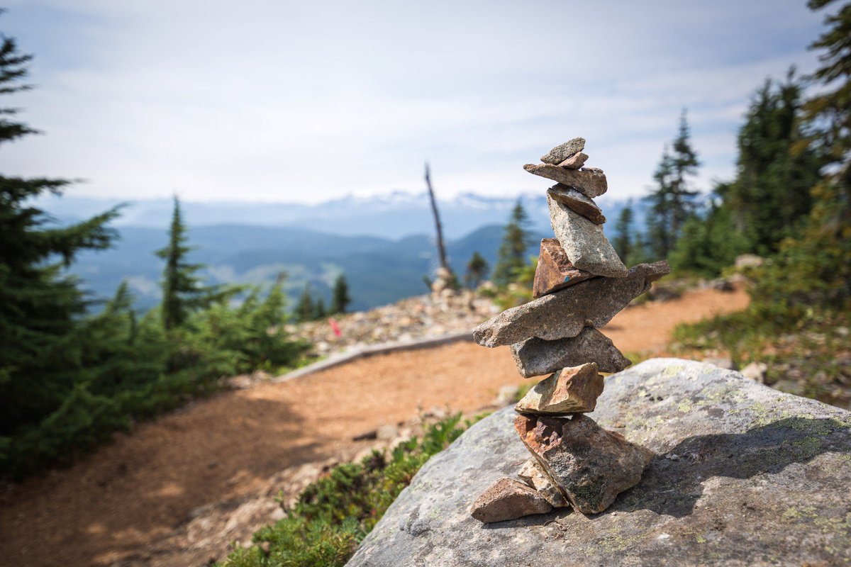 Van Island Trail Run tweet media