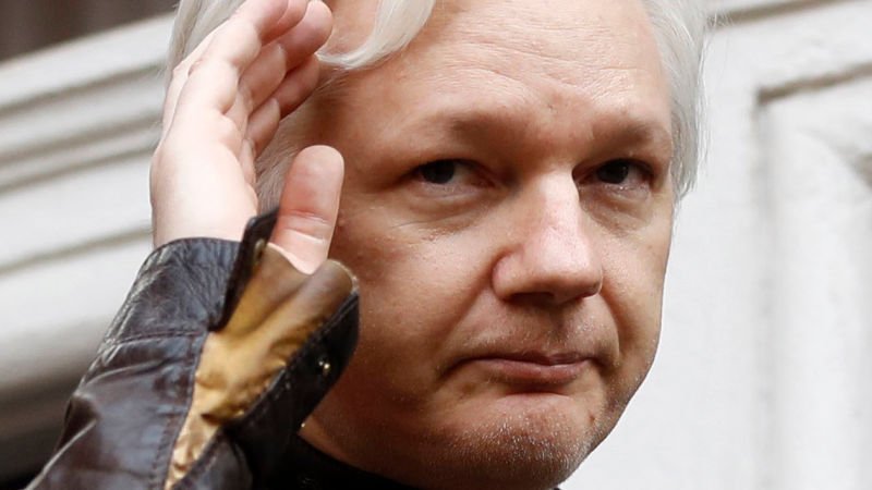 Gizmodo UK on Twitter: "It Seems Like Julian Assange 