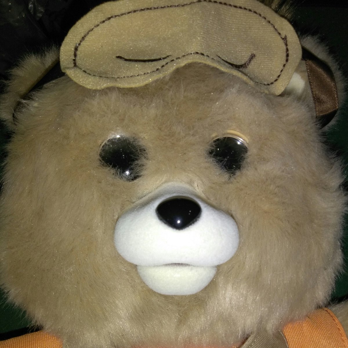 teddy ruxpin eyes