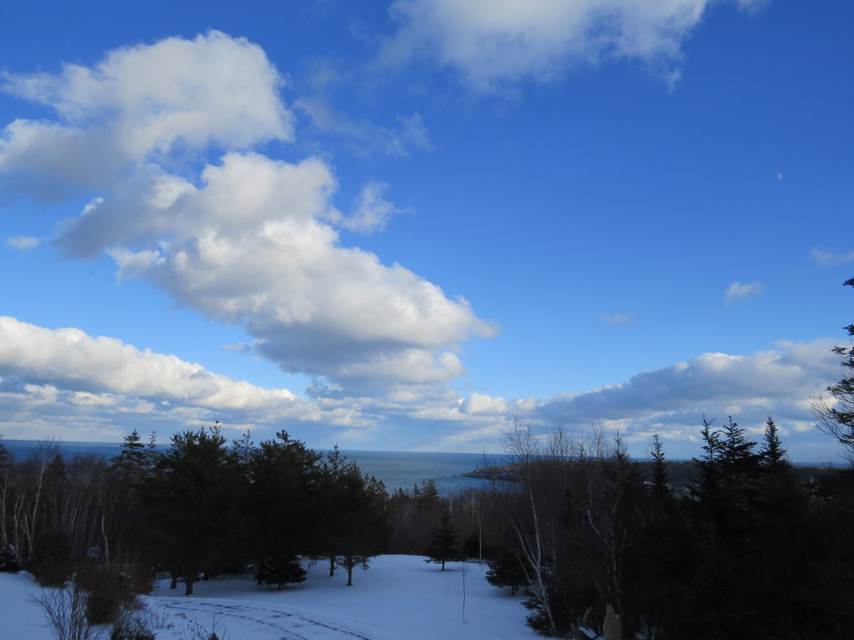 Grand Manan Island tweet media