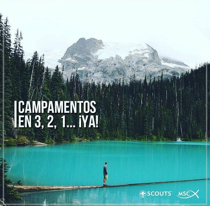 <a href="/scoutmonsolis/">Grupo Scout Mónsolis</a> se va de campamento de Navidad a Íllar en 3, 2, 1... ¡mañana! ¿Tenéis todo preparado? ¡No olvidéis la ropa de abrigo, que hará frío!

📸 <a href="/scoutsmsc/">Scouts MSC</a>