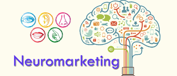 alierenbalikel's tweet photo. #neuroscience, which can be traditionally regarded as a field of biology, has gained an interdisciplinary identity today, which can work in conjunction with chemistry, engineering, physics, psychology, #Marketing etc.: https://t.co/V6pnC7myoJ #neuromarketing https://t.co/yHI42YbCpO