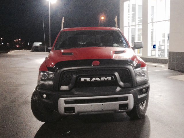 Our customer Elisa is sure getting her #RamRebel into the holiday spirit! She brought her rebel over the other evening, dressed up as Rudolph the Rednose Reindeer!