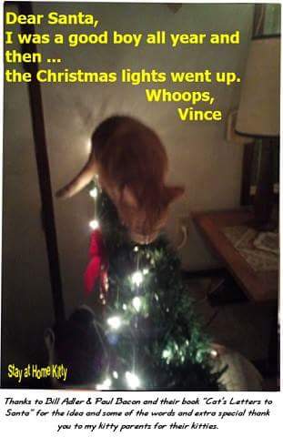 SAHKCatSitter's tweet photo. #KittyLetterstoSantaClaws https://t.co/snGtr0wkZe
