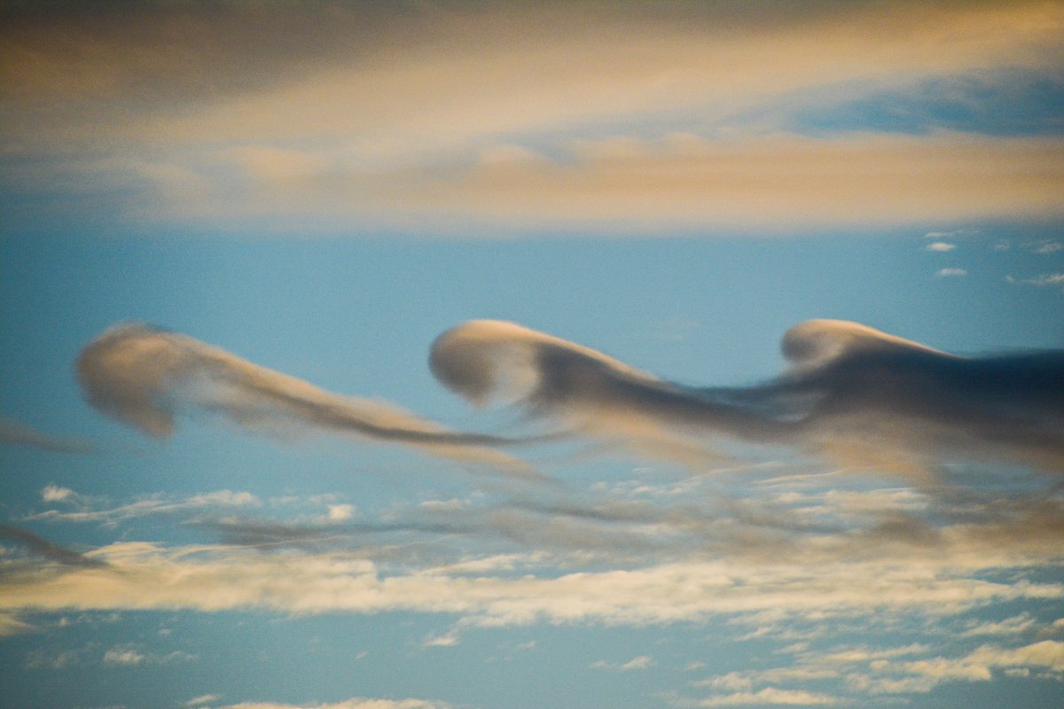 ar_ar888's tweet photo. Kelvin Helmholtz waves spotted at Swinhope, Lincolnshire on 19th of December @CloudAppSoc https://t.co/lss9X6hRJQ