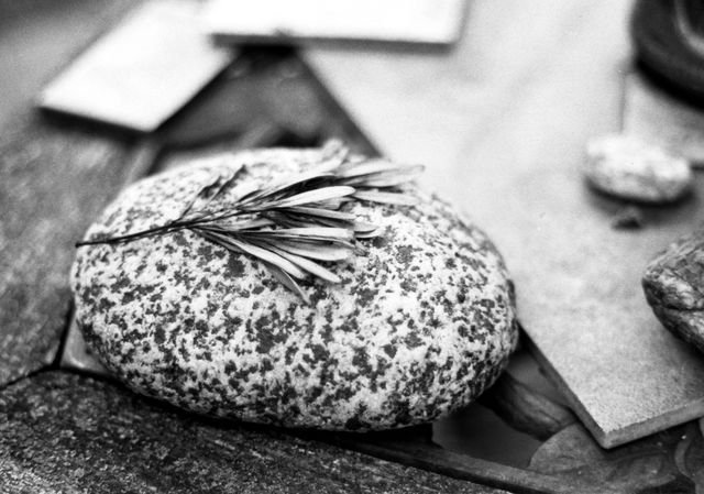 SCDesignStudios's tweet image. &apos;Rosemary on Rock&apos; buff.ly/2AI3xOw 
 #simplethings #gardenlife #ishootfilm