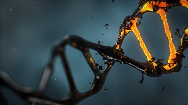 r2rnow's tweet photo. (145/150) Benjamin Blencowe from the @DonnellyCentre @UofT is pinpointing the genetic basis of #autism https://t.co/VFsr94PyRV #Canada150 #150scientists https://t.co/bMTCItSakq