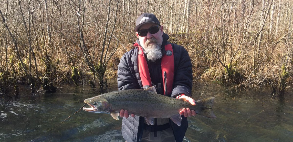 On the 19th Day of #Xmas the Steelhead gods gave to me....... <a href="/gricer09/">Fuji</a> <a href="/dkfathertime/">Dave Knowland</a> <a href="/noggie63/">Noggie</a> @salmonraider @VILFishSookeBC
