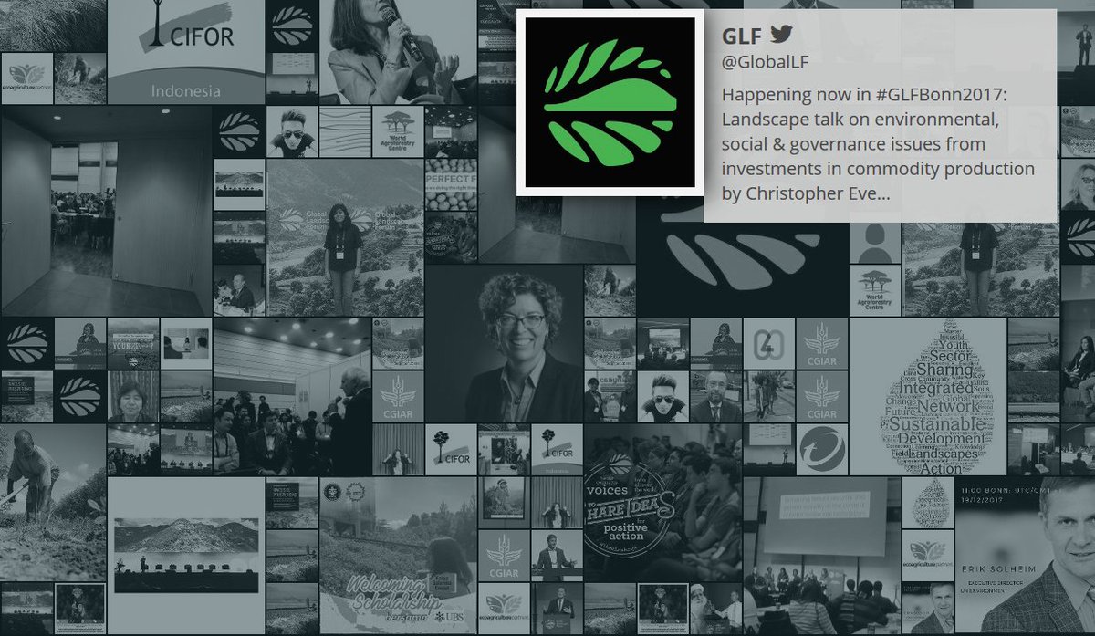 GlobalLF's tweet photo. Join the #ThinkLandscape movement #live at #GLFBonn2017. Watch live here: https://t.co/k6i1Tnn9ys https://t.co/LscE8ItAYj
