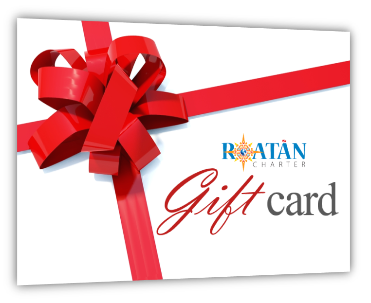 RoatanCharter's tweet photo. 🎄TRAVEL GIFT CARDS AVAILABLE🎄 Set sail on the ultimate vacation with a Gift Card from Roatan Charter! Great for planning parts of your trip, or the whole thing! Use code 🎁"GIFTCARD"🎁 as your Reservation Number.
https://t.co/zi52oGQwvP https://t.co/widA4QfzbK