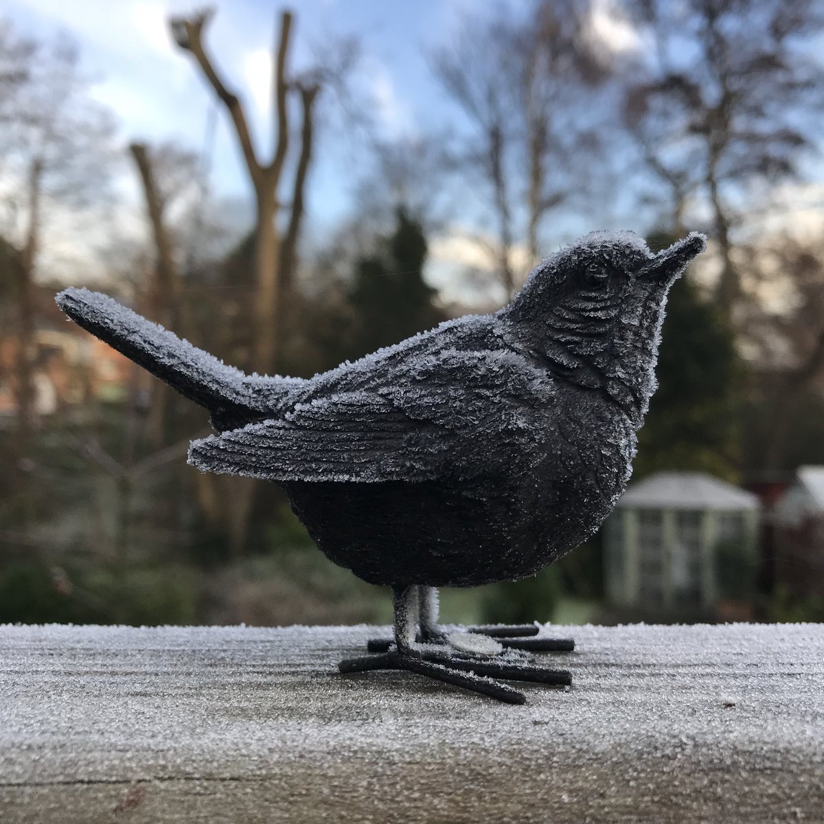 nickyharverson's tweet photo. Not getting out today as I have so much to do at the computer. A frosty breath of fresh air in the garden to revive the soul before I plug myself back in.
What do you do to recharge?#
#energynottime #recharge #pluggingintonature #myfitlife https://t.co/A700eMNVbF