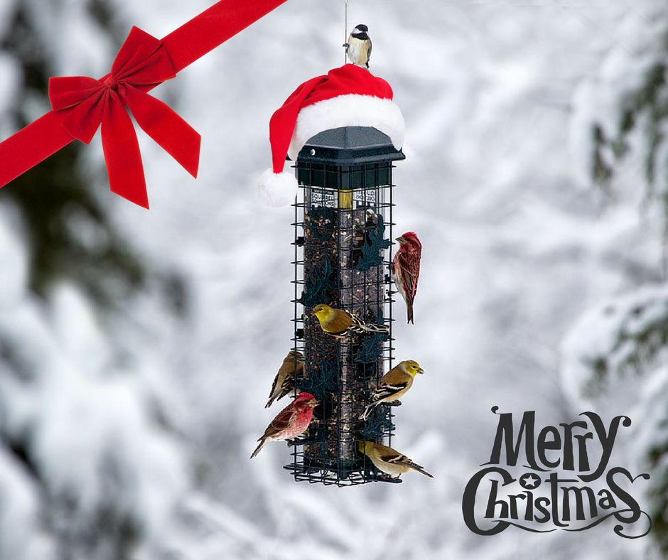 Brome Bird Care Inc On Twitter A Birdfeeder 4 Christmas What