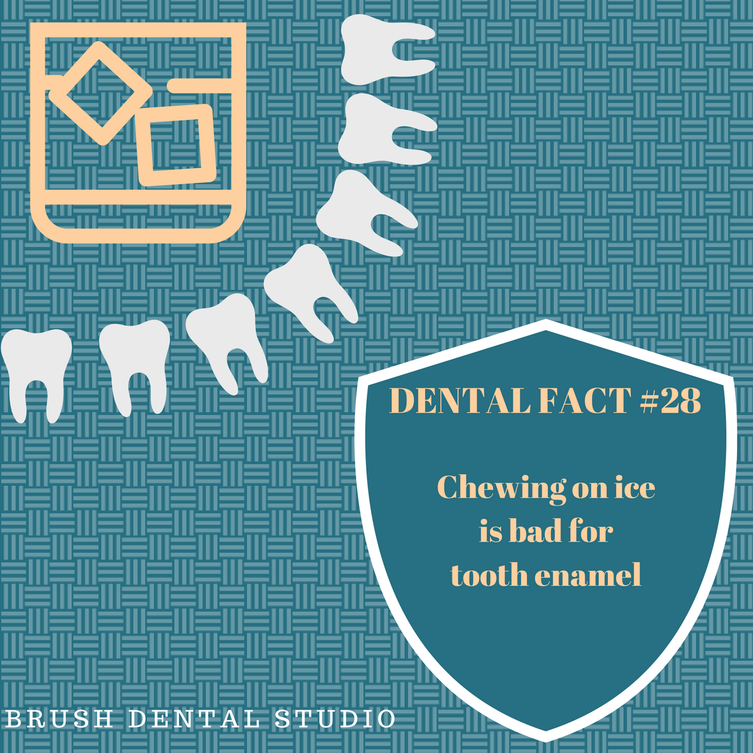 BrushDental's tweet photo. Happy Toothsday! https://t.co/uRY82aRXMI