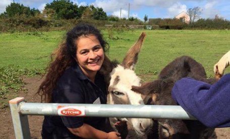 UniofExeter's tweet photo. Our students have been named among the most active community volunteers in the world! They clocked up an amazing 34,000 volunteering hours this year! https://t.co/GEzBM5lumD https://t.co/EwioqdV8FO