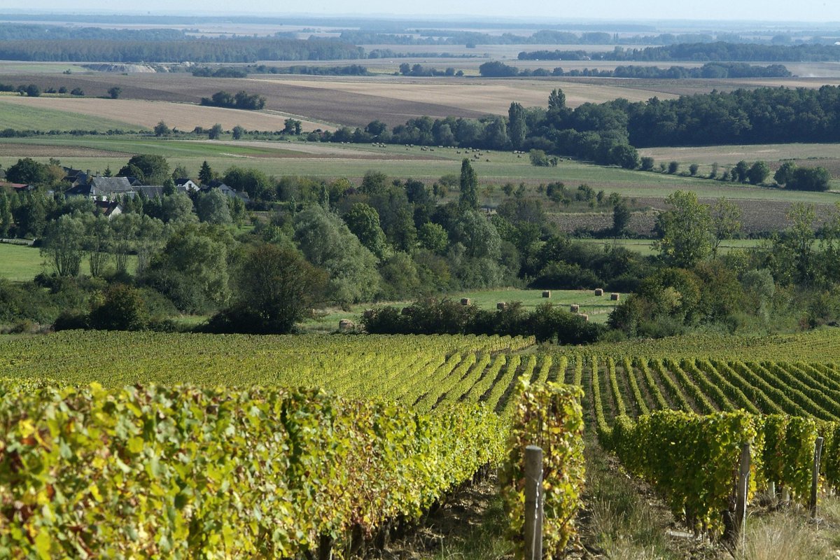 MyLoireValley's tweet photo. ~INSTANT GOURMAND~ #Sancerre #Pouilly #Quincy #Reuilly #Menetou... Pour accompagner vos repas de fête, pensez aux @VinsCentreLoire ! 🥂 #ValdeLoire #VinsCentreLoire #BIVC https://t.co/iRKUZ1mDqa