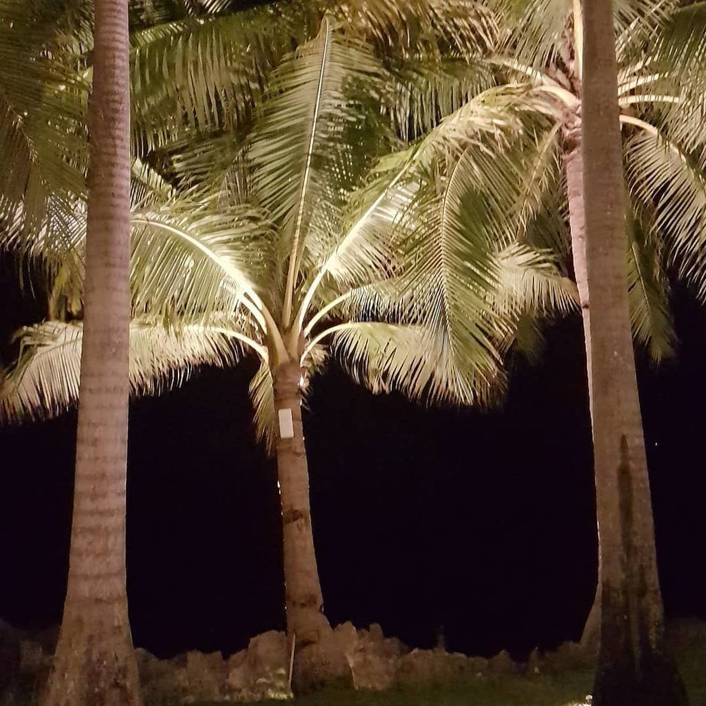 AnAnthonySmith's tweet photo. Hey... where did the sun go?

#travelvlogs  #travelblogger #travelblog #traveling #seeingtheworld #vlogging #vlogcation #Philippines #pinoy #worldtraveler #cebu #FreedomFamily #palmtrees #tropical #itsmorefuninthephilippines https://t.co/GPkYIaaerD https://t.co/ypHsZU5iAn