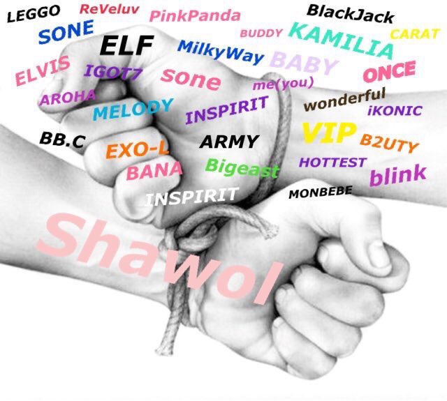 韓国人のshineeのファンがどんどん行方不明になってます