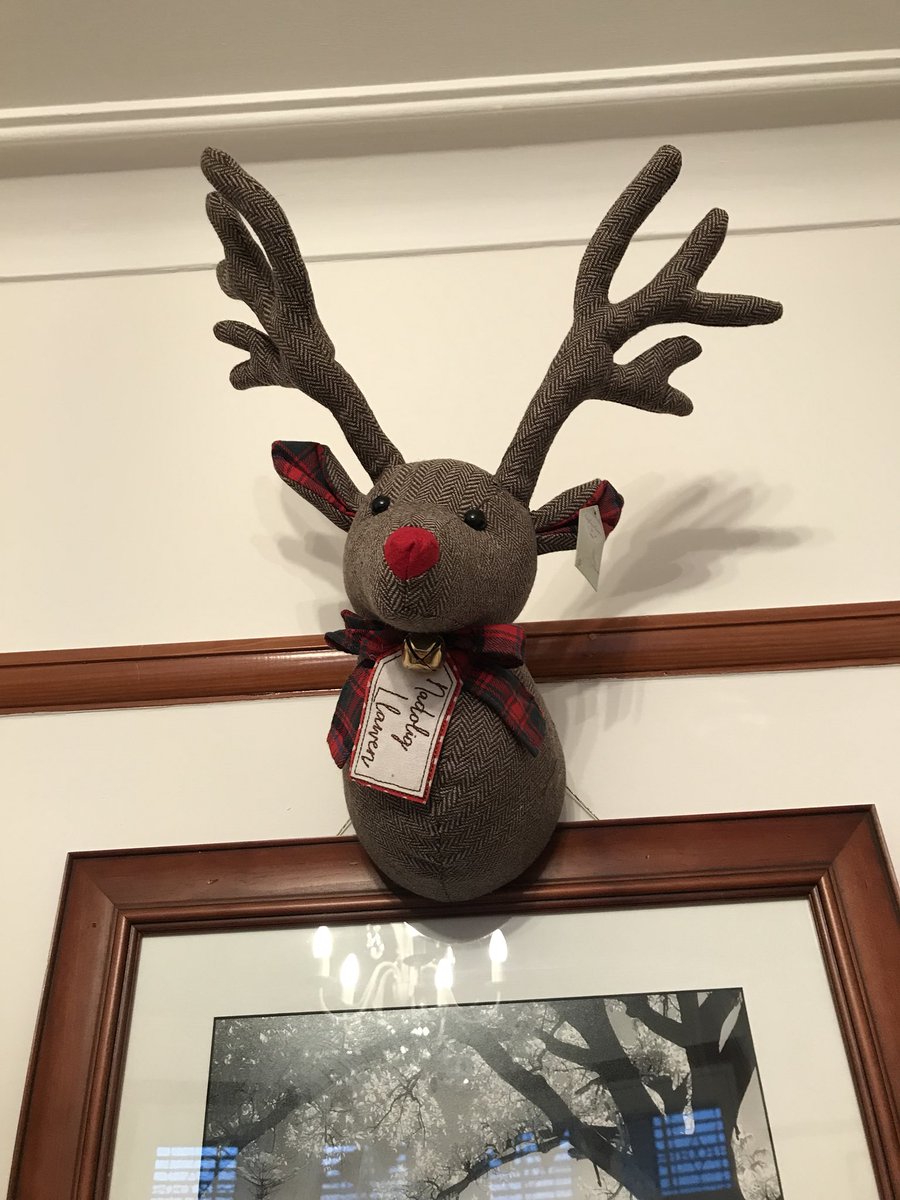 Tuffers31's tweet photo. My mum loves her reindeer head from @hallsofllandaff 🦌🎄#hallsofllandaff #reindeerhead https://t.co/6HM0nArLEg