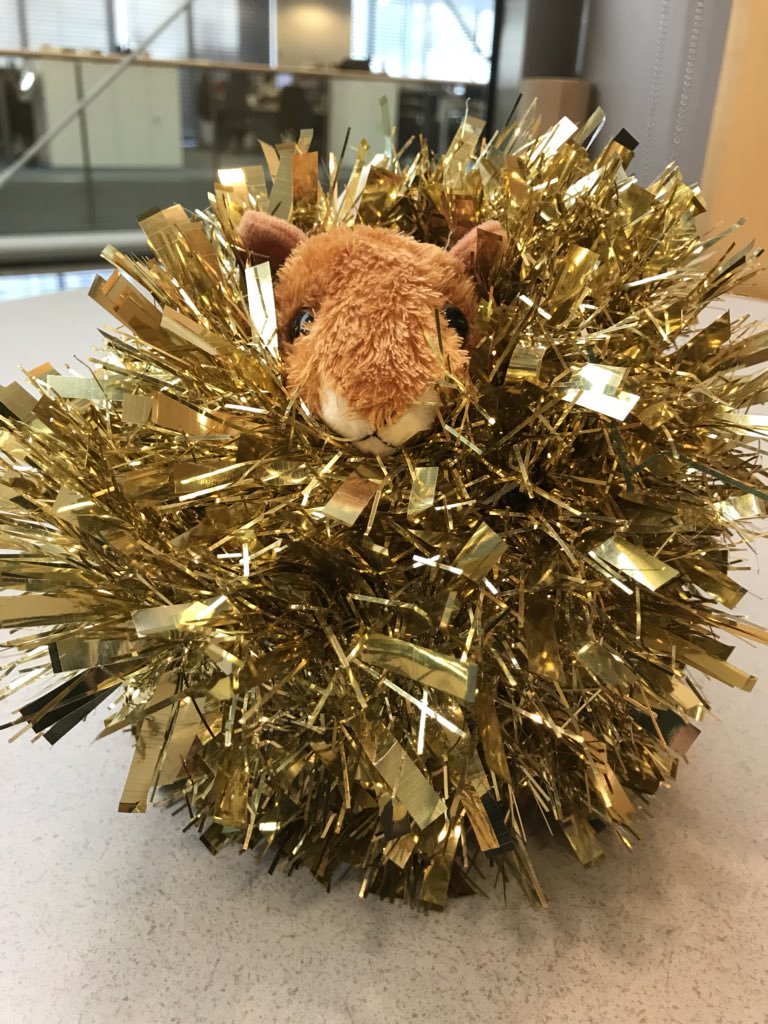 AGMSquirrel tweet media