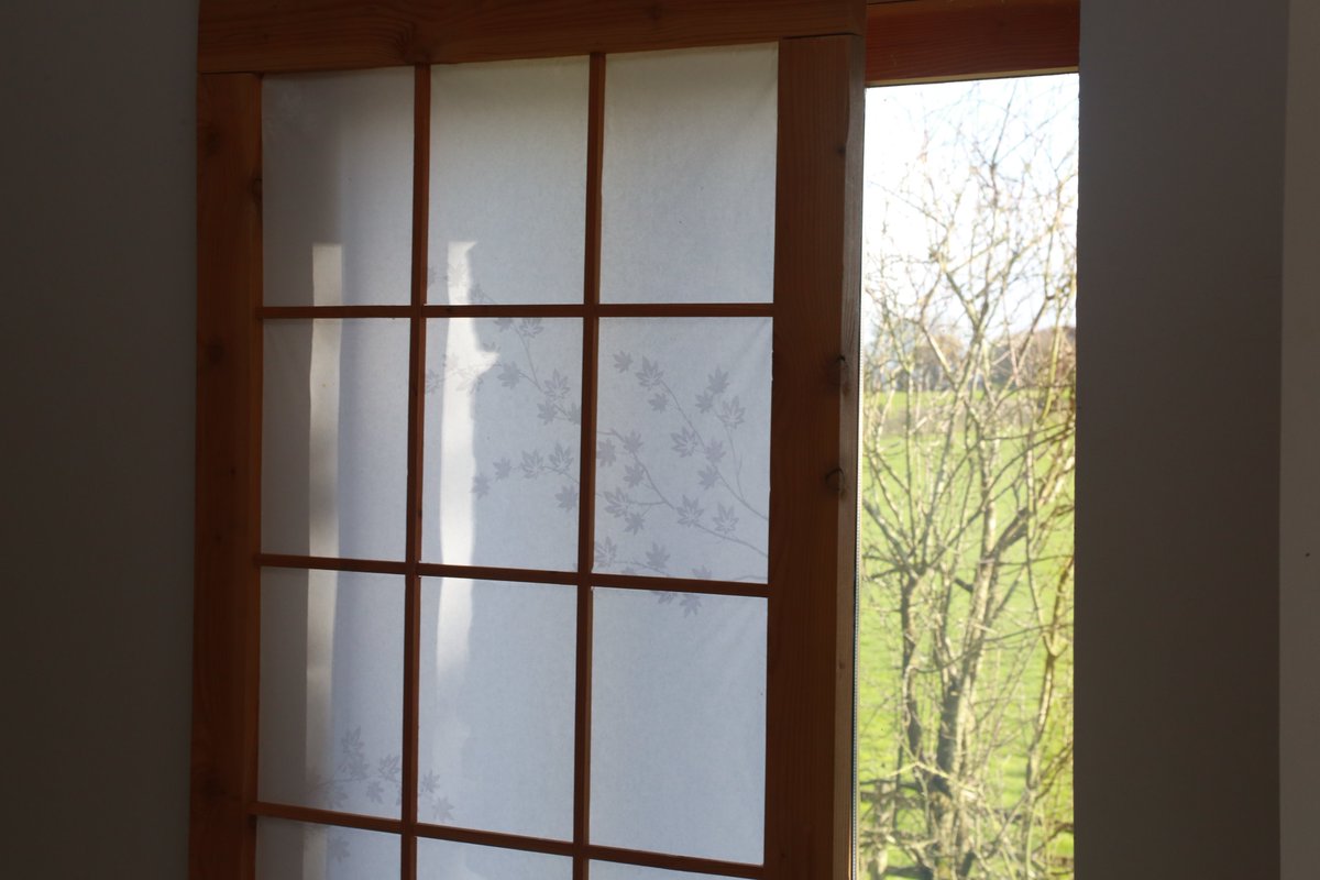 shojiscreensir's tweet image. Gorgeous against that winter sun, privacy, beauty and light
