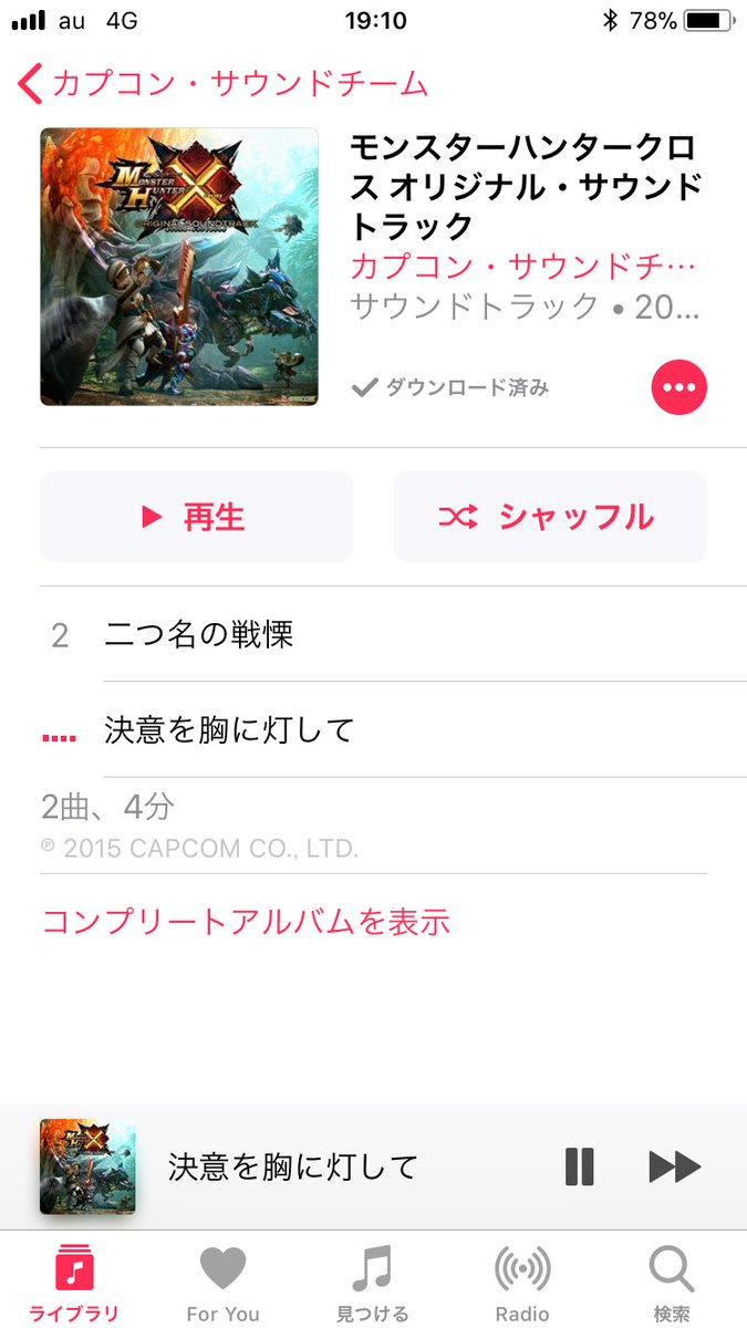 決意を胸に灯して 決意を胸に灯して