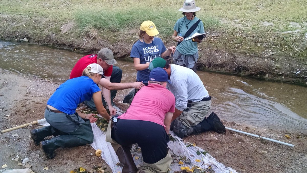 Inthecurrentaz's tweet image. Annual Sampling of the Middle Santa Cruz River - inthecurrent.org/field/annual-s…