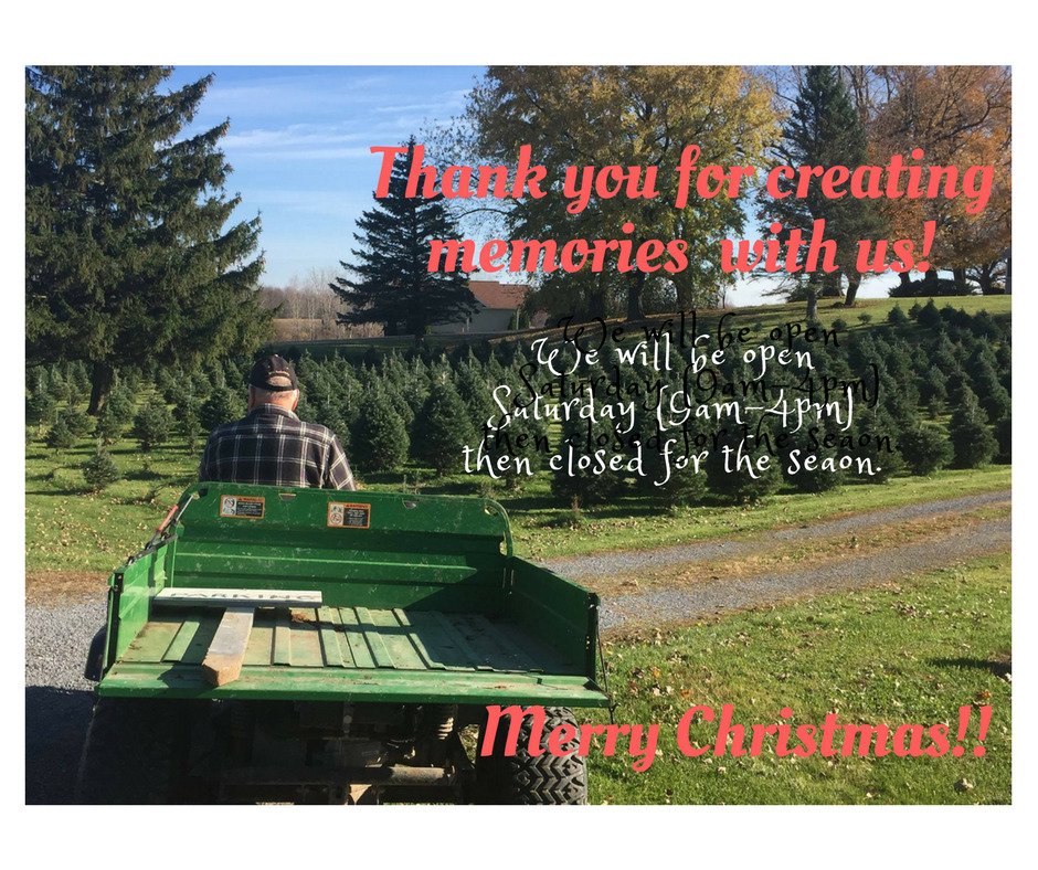darlingtreefarm's tweet photo. https://t.co/5jRdAFo4fr