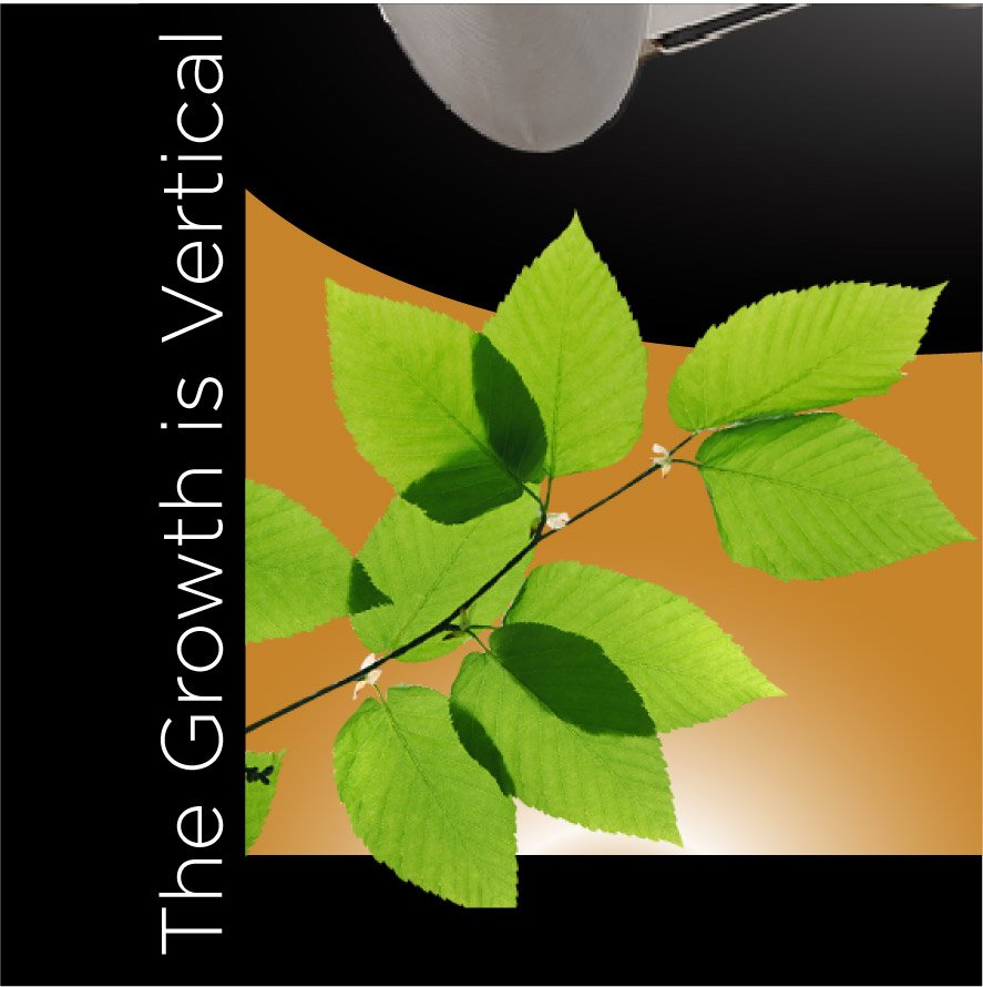 GrowLogic_Ca's tweet photo. #Vertical growing – the art of growing taller plants – has been around for quite some time now, but in recent times it has lost favor with the vast majority of lighting manufacturers. https://t.co/pL8lahBKcA
#Hydroponics #growmore #gotlights #indoorgrowing #LightEvolution https://t.co/Dqaa1bXhhk