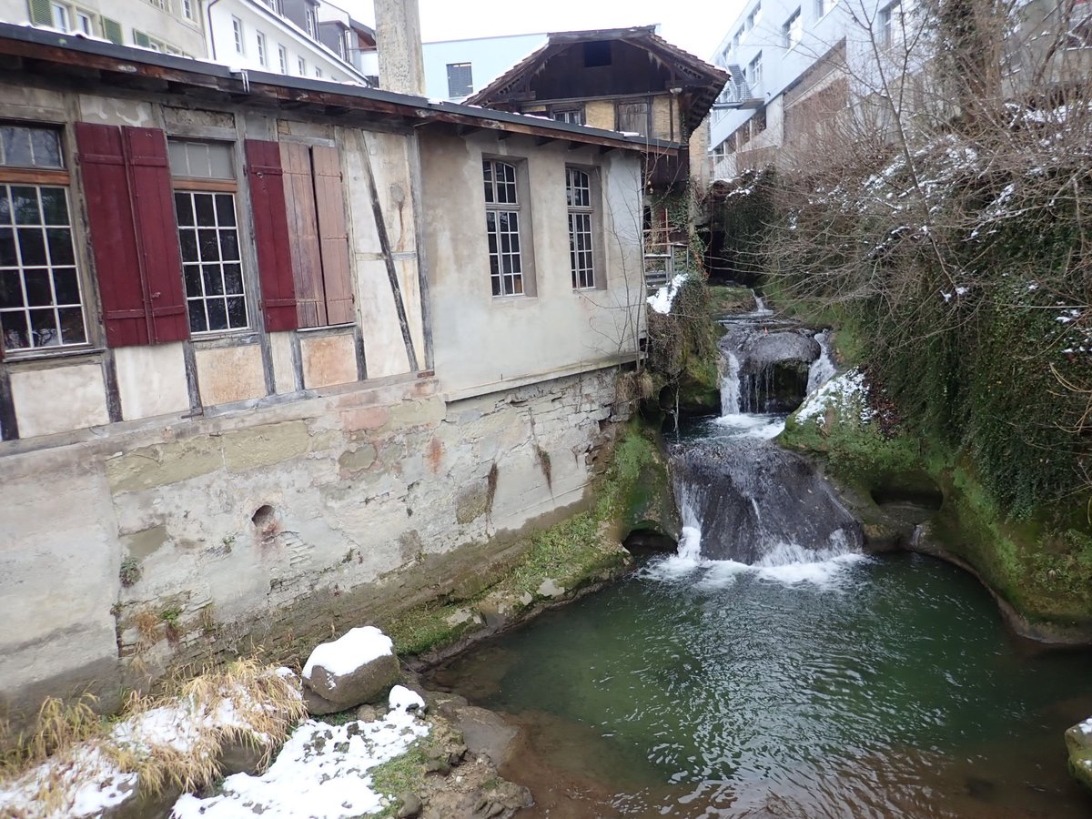 fischwanderung's tweet photo. Heute Beginn der Standortaufnahmen für eine 90m lange Fischtreppe #Steffstep unter einem Haus durch. 
Challenge accepted! :) https://t.co/HOKaXcxDfp