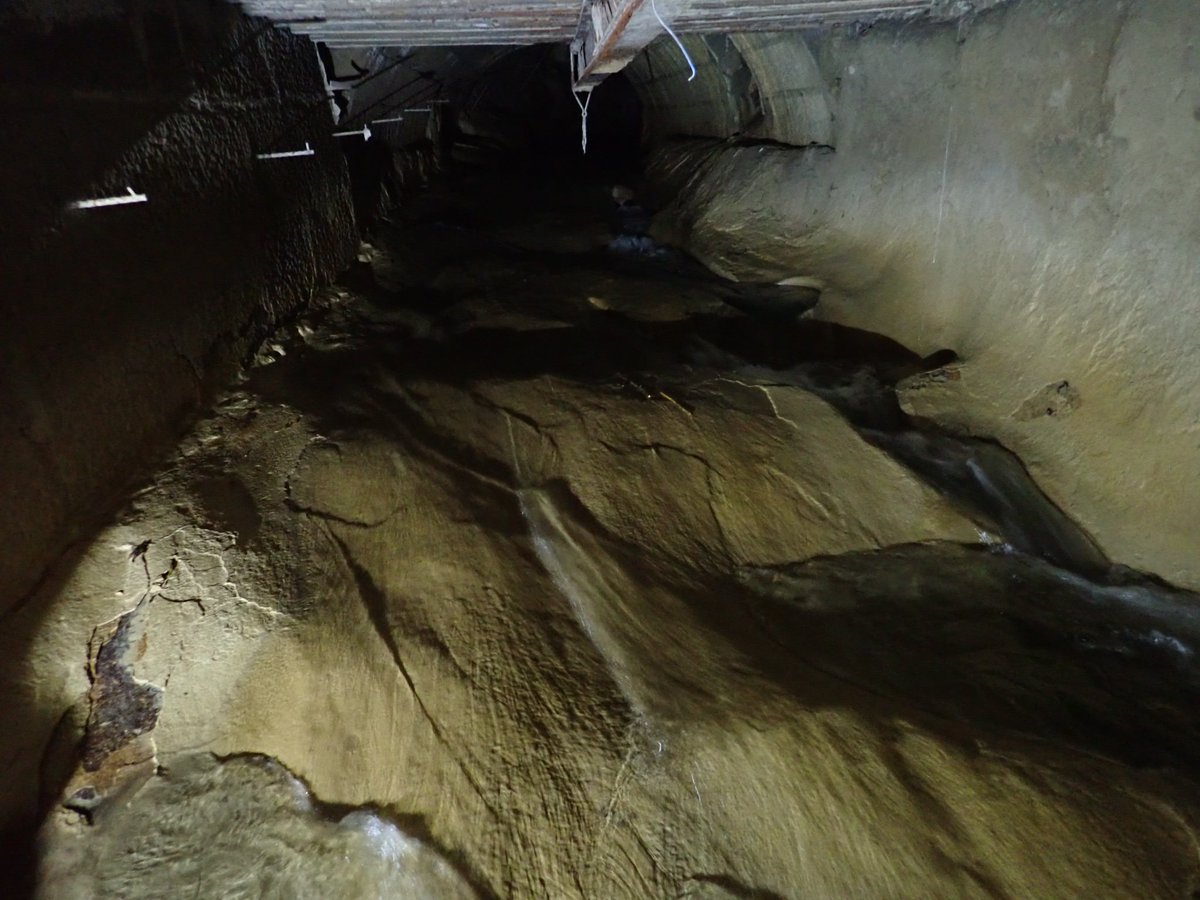 fischwanderung's tweet photo. Heute Beginn der Standortaufnahmen für eine 90m lange Fischtreppe #Steffstep unter einem Haus durch. 
Challenge accepted! :) https://t.co/HOKaXcxDfp