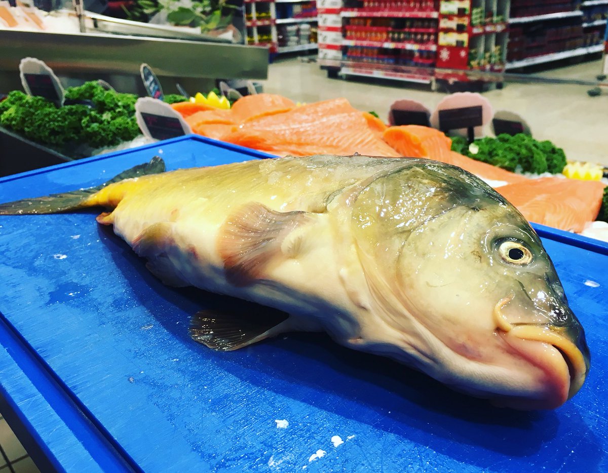 KeenansCounter's tweet photo. Lots of people asking for #carp over the past few days...it’s in!🐟
#fish #freshfish #christmas #belfast #shoplocal #tesco https://t.co/LcVnR1e7TO