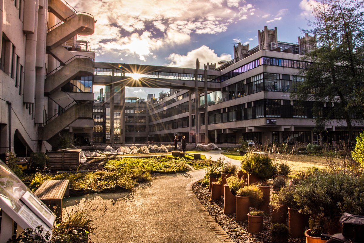 UniversityLeeds's tweet photo. It's the final day of #12DaysofCampus! Day 12's theme is 'take a break'. Campus is getting quieter by the day, and whatever you're doing this festive period, have a great time, and well-earned break! 🎄📸 https://t.co/PElYi2y7gv