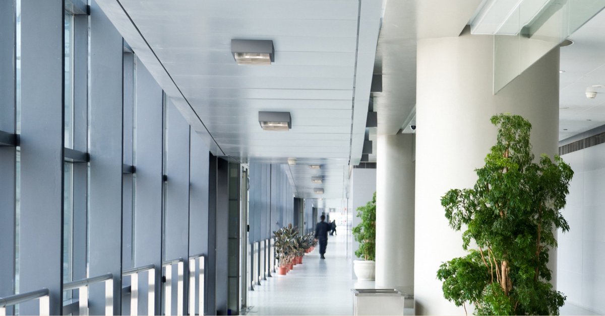 SoleraCorp's tweet photo. SELS is a versatile luminaire that can be mounted in various ways (Pole Mount, Ceiling Recessed, Ceiling Mount). This application features a Ceiling Mount with a prismatic drop lens. #soleracorp #architecturallighting #customsolutions https://t.co/trgbt4tZZs
