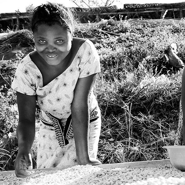 Our new #seaonalspecial, from Sake Farm, Rwanda is the direct result of work by the International Women's Coffee Alliance - developing female empowerment from grass roots farm level within Rwanda and beyond! Find out more about the IWCA here - ow.ly/kcA730hjNWD