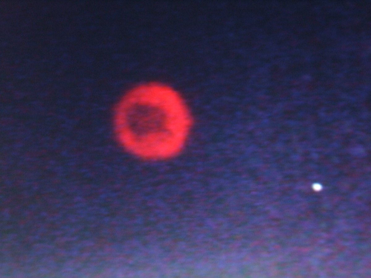 epub Le scienze cognitive del