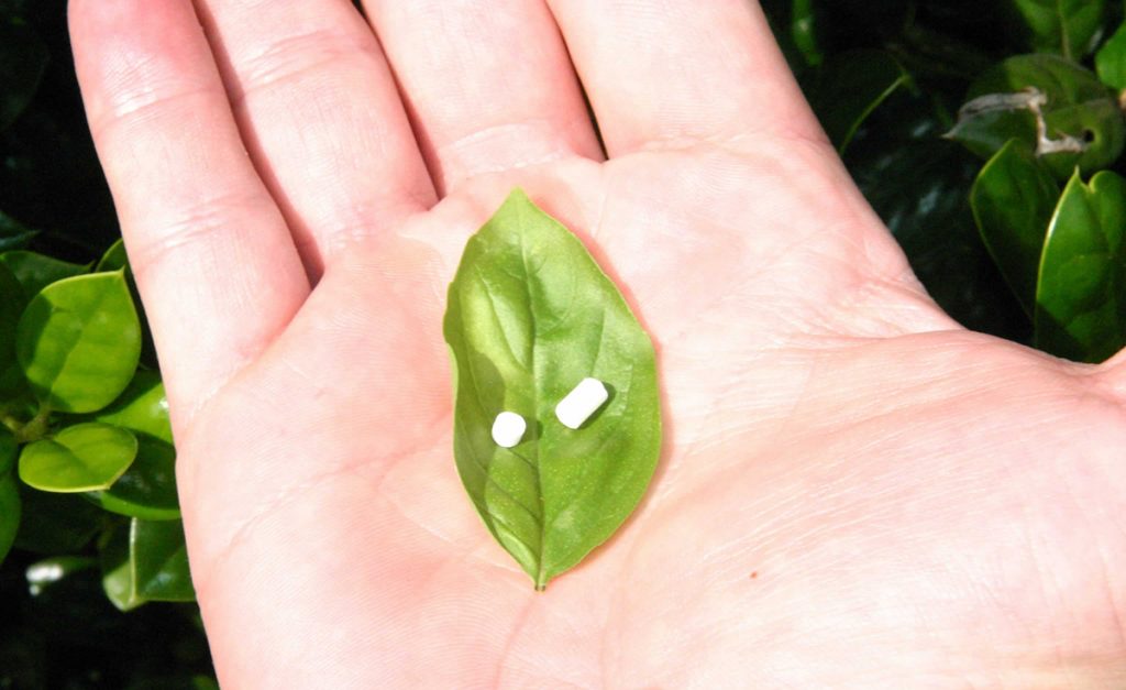 IRMO ESTHETIC tweet media