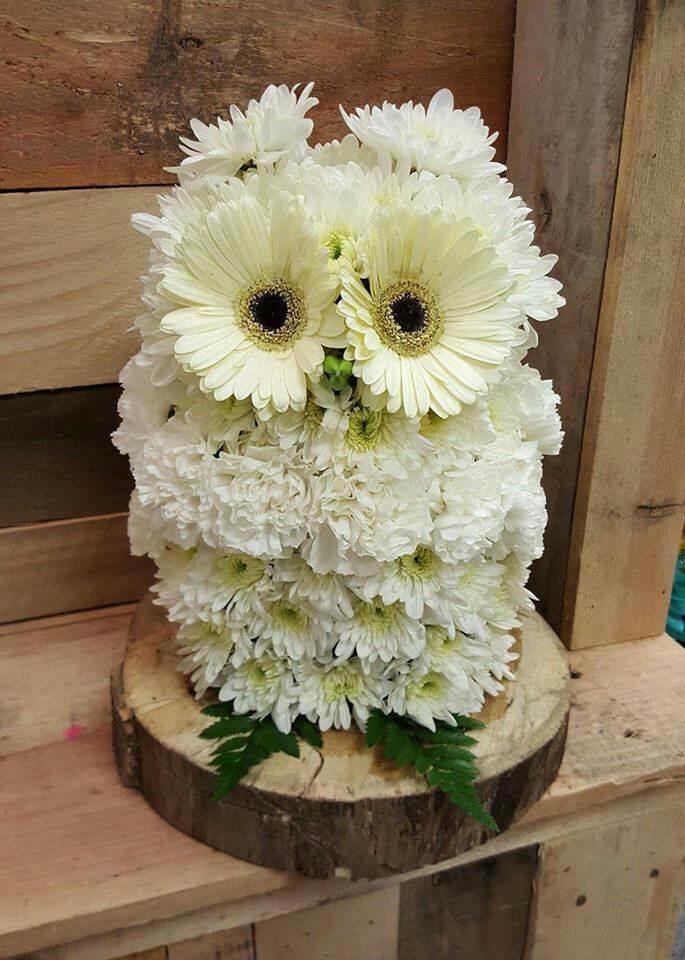 The wise snow owl says I get all my flowers at <a href="/CareysFlowers/">Carey's Flowers</a>