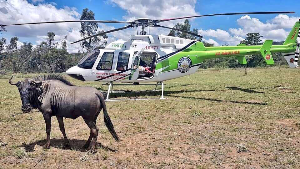 HALO_Aviation's tweet photo. HALO 6 Trauma Team activated for the transfer of a newborn patient from Siloam to Mankweng. Safe Flight! #makingadifference #HEMS #REALHEROES https://t.co/fJURjegjXX