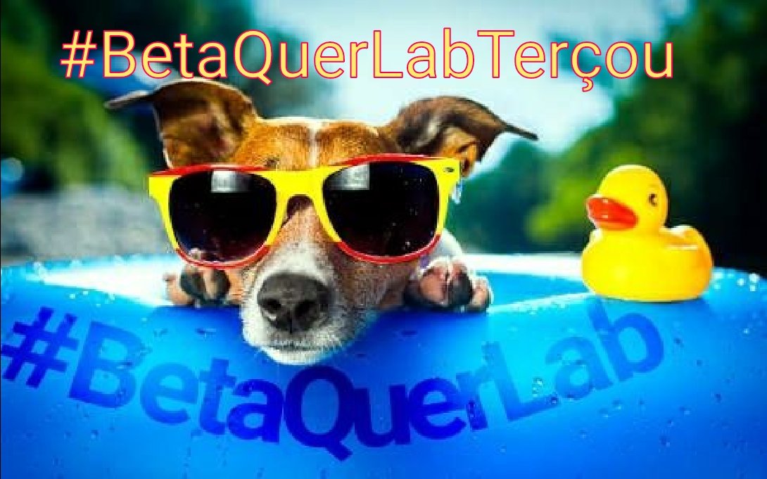 Bom dia amigos! #BetaQuerLabTerçou feliz e colorido e cheio de disposição! Vem junte-se a nós #BetaQuerLab. ❤❤
