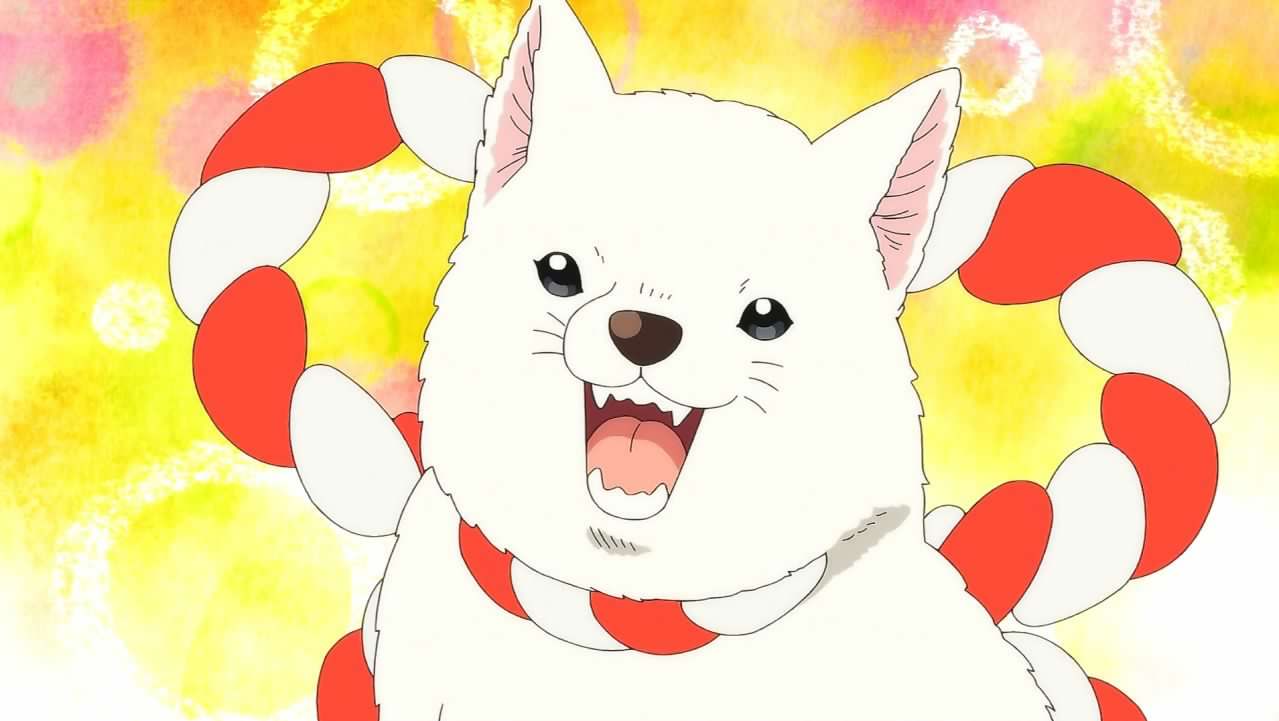 Aranime 鬼灯の冷徹 11話 家族 鬼灯様 家族の温かさを知らないのか でも唐瓜も茄子も普通の家庭じゃない 笑 ってか そもそもどうやっておぼろ車が 地獄の犬 言われてみると Aranime 鬼灯の冷徹 11話 家族 鬼灯様 家族の温かさを知らないのか でも唐瓜も茄子も普通の家庭じゃない 笑 ってか そもそもどうやっておぼろ車が 地獄の犬 言われてみると