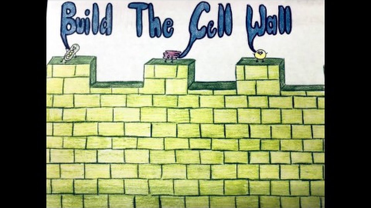 supercellwall1's tweet photo. Our goal is to protect you! #buildthecellwall#organellewars @HApbio https://t.co/93el0SriVj